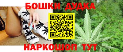 сатива Нальчик