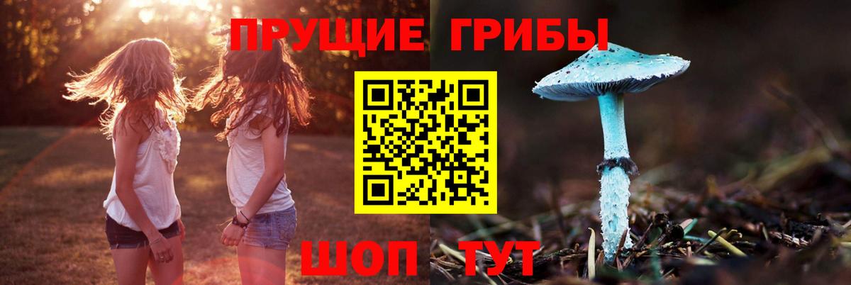 Галлюциногенные грибы GOLDEN TEACHER  Вход с VPN  Феодосия 