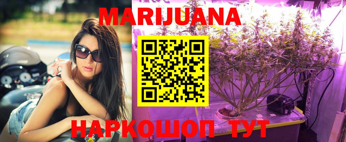 Конопля семена  Вход с VPN  Феодосия  Бошки Шишки планчик  МАРИХУАНА марихуана 